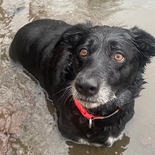 married to a good lookin lady and with our powers combined had cool children. auto racing, hunting, archery, training wa...