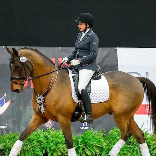 Deplorable amateur dressage from the Midwest
