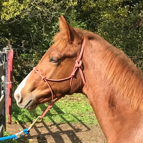 Hold the corrupt accountable! #Pro1A #Godfirst #Pro2A #ProLife #Theattackfromwithin