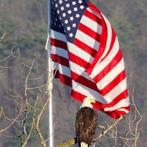 Married to a retired Army veteran.  I am a Christian conservative that believes in the Constitution.