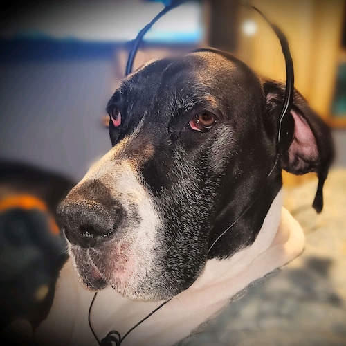 The first half of my life was wrought with perils, mistakes, self-doubt, and confusion. Now I am committed to having my ...