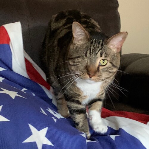 RDH and Born Patriot willing to defend and protect our Constitutional Rights