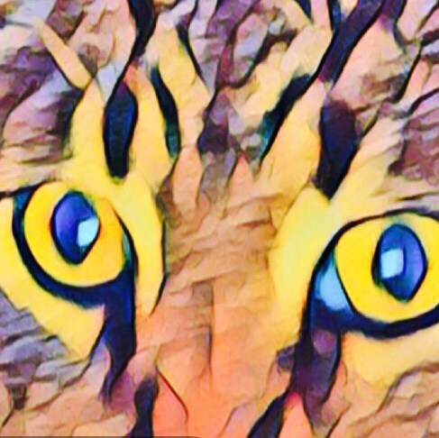 magalicious45 
USA-TX. #MAGA 🇺🇸🇺🇸🇺🇸- Believer in taking care of animals, the elderly, & children in our country. P...