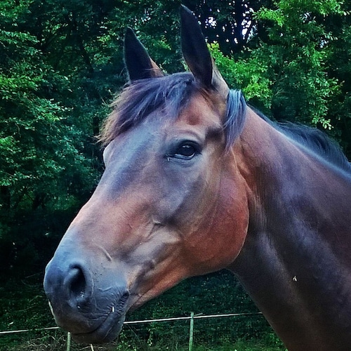 3 June 1948
Right of centre Conservative. If it feels wrong it generally is.