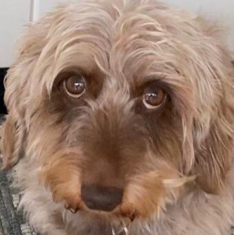 Born in Germany
Lived most of my younger years in the south of France
Now living on the ‘English Riveria’ patiently wait...