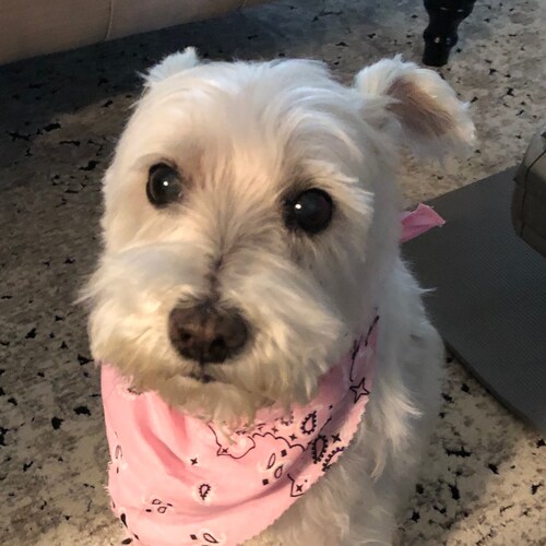 I love my country, God, family, cycling and my sweet dog.