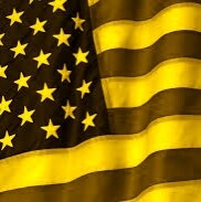 Patriot, Gamer, Iranian born American citizen. Proud to be an American. working to reinforce freedom.