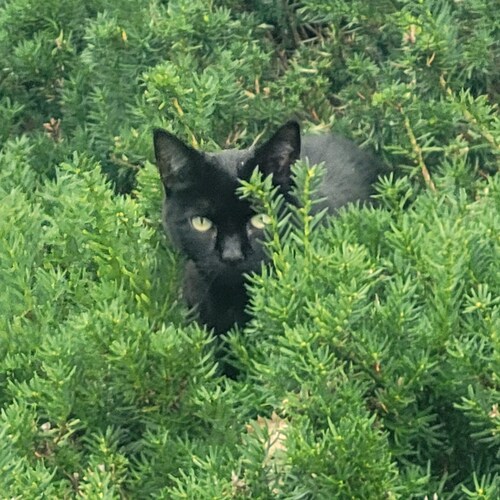 Upstate New York born and raised. Freedom is never free. critical thinker not interested in government/media agenda