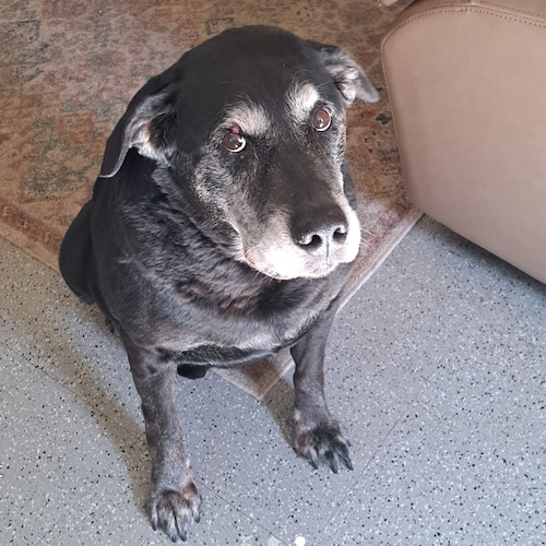 🙏Jesus is my savior🙏 
🇺🇲 LOVE MY COUNTRY🇺🇲
#WWG1WGA #ArmyVet Retired #RN
#TrumpWon 
#IStandWithTrump

🔺️NO DM's🔺...