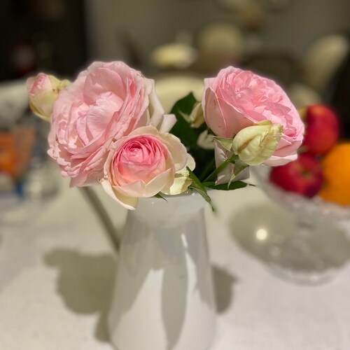 Visit 小鹿纯子's profile on GETTR. View their posts, photos, videos, and connect with them on the social platform.