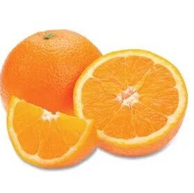 Visit jduck's profile on GETTR. View their posts, photos, videos, and connect with them on the social platform.