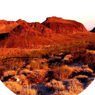 Optimistic 🌞🌱 | Proud American 🇺🇸