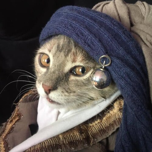 Chinazi的中文翻譯原來就是赤納粹, 他們所謂的大是大非就是:以愛國之名，作多端之惡