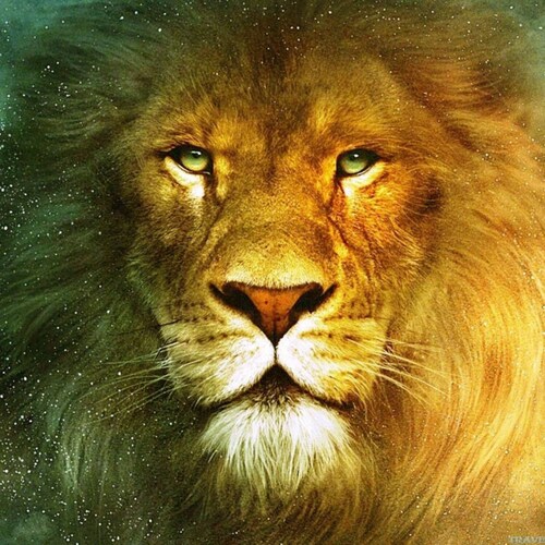 Christian LDS #NRA #1A #2A #ProLife #Potus45 #WWG1WGA 
Families are forever! Living in Big Sky Country!