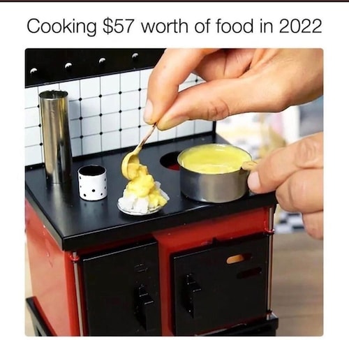 5d50e4c3513c2c4b1f1f2f155fa85f37_500x0