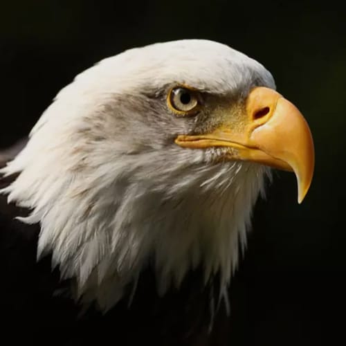 灭共是你我正义的必须！！！