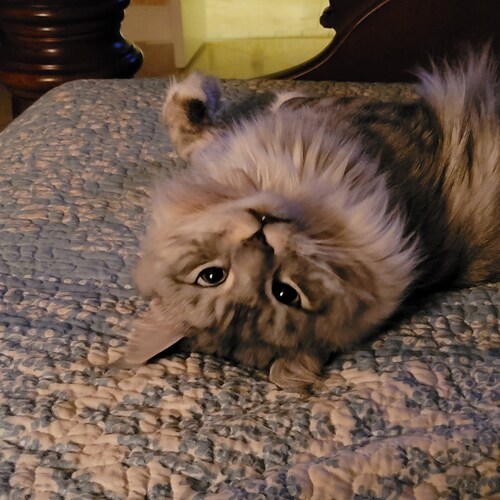 Truth is not a matter of opinion. It is what it is. If you live by it you have nothing to fear from it. It is the purest...