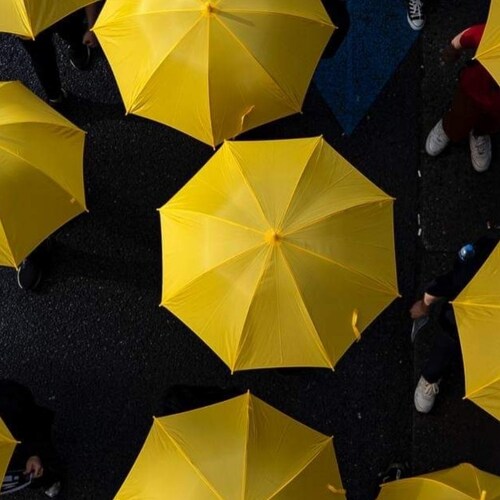 任暴雨下_ 志向未倒下_
雨傘是一朵朵的花_
不枯也不散