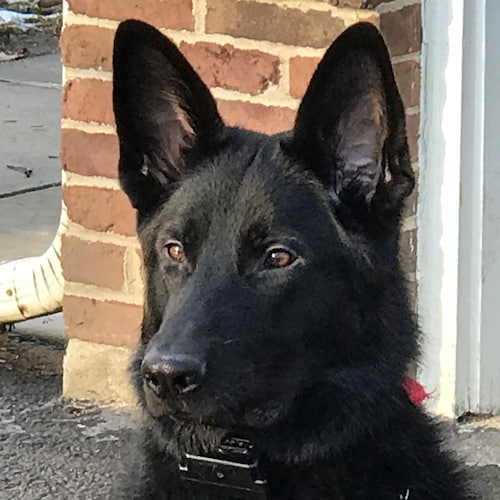 Visit Scott Houser's profile on GETTR. View their posts, photos, videos, and connect with them on the social platform.