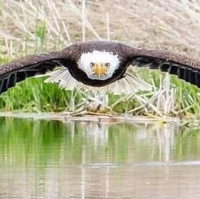 USA 🇺🇸🇺🇸🇺🇸