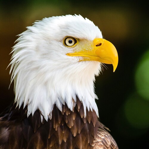 Passionate about serving Jesus ~ wife ~ mama ~ glamma. Love Our County 🇺🇸 American 🇺🇸 #prayingpatriot #intercessorsa...