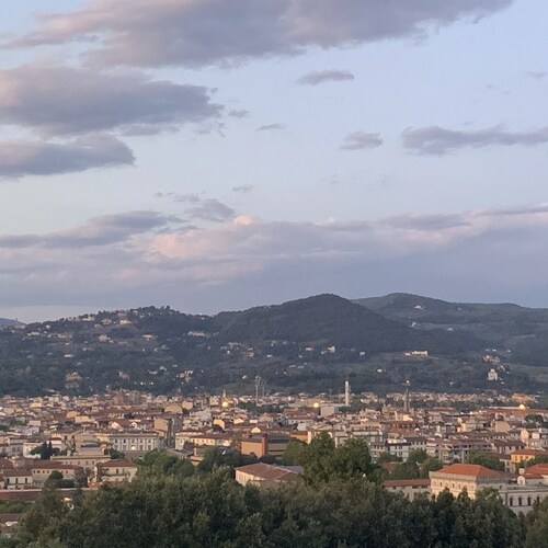 conservative, Catholic, bilingual