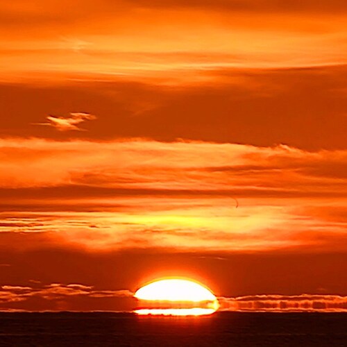 Father Husband Surgeon American