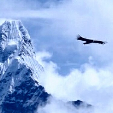 Freedom of Speech
Freedom of Worship
Freedom from Fear
Freedom from Want