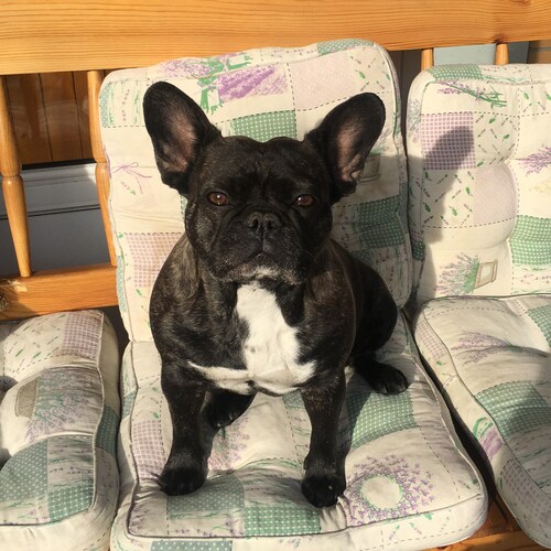 Land of Kaz: Expat - O&G Fin