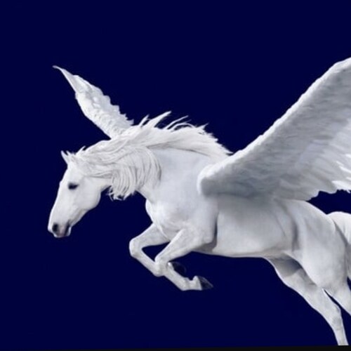 Generational Rancher, Believer, Dark/Light Forces, the Ability to 
Change ones Destiny. Honor, Loyalty & Freedom to Fly. The King & Pawn go into the same box.