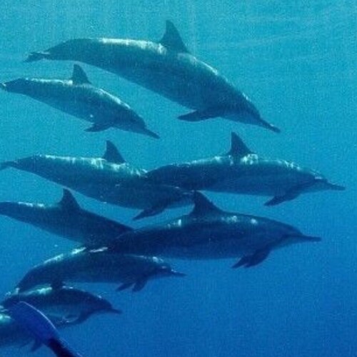 又一年的11.20，