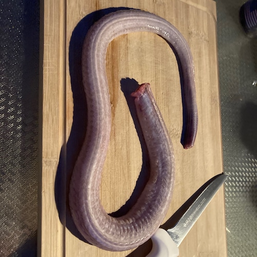 John Galt could be a Deplorable, Bible Holding, Gun Loving, Patriot ready to Hunt Tyrants for the Tree of Liberty…. or h...