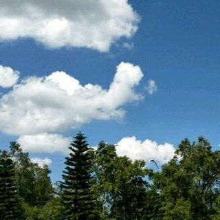 没羽箭TSIN on GETTR