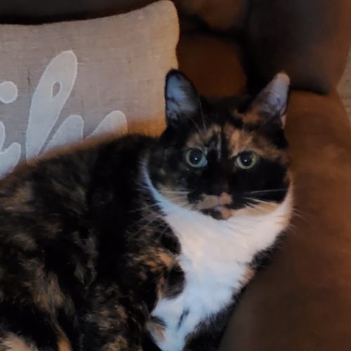 I'm done with all liberal BS. I love God, Family & Country in that order.