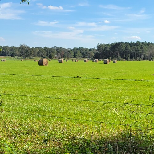 conservative Christian Grandmother Self Employed.  I Love this REPUBLIC! MAGA! Patriot!