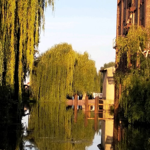 Als Selbstdenker aufgewachsen und solcher geblieben. Meine Eltern haben mir immer gesagt : Mädchen, du musst deinen eige...