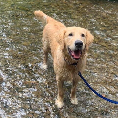 Family👨‍👩‍👧‍👦, God✝️, Country🇺🇸
       🇺🇸
   🐧🏴‍☠️👨🏼‍🏭