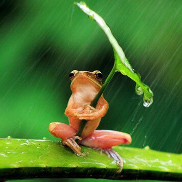 Technology is a useful servant but a dangerous master. — Christian Lous Lange