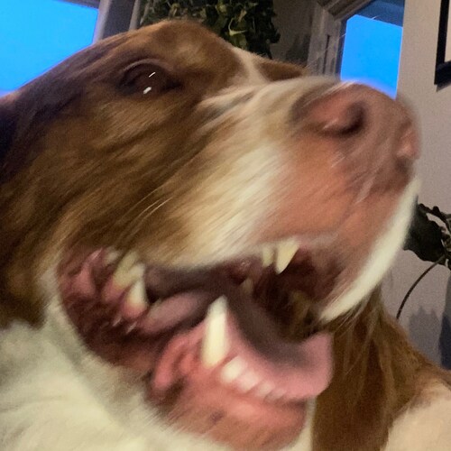 Indendent thinker, integrity counts, even when least popular!