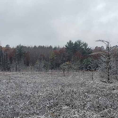 Husband, Father, Patriot, 2A Champion, Motocross Enthusiast & GSD Collector