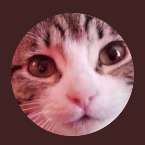 Trump supporter❤️❤️conservative 🇺🇸🇺🇸🇺🇸 please no libtutds.