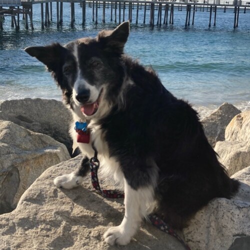 Small business owner