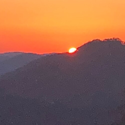 Happy Life on the “Forgotten Coast”.