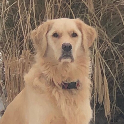 Freedom is Everything