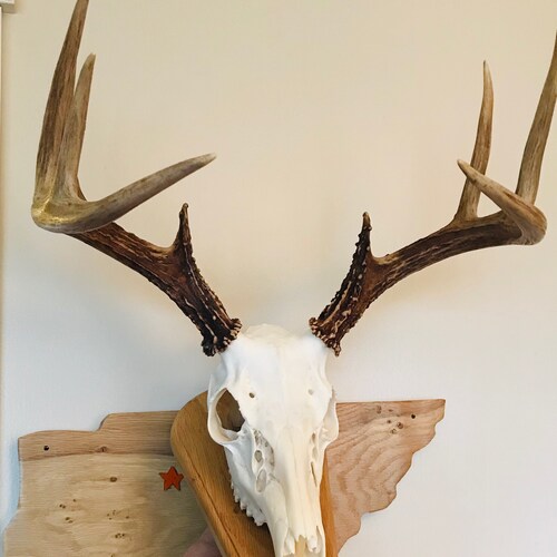 Veteran and Conservative banned from Twitter