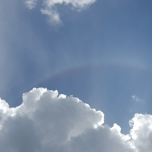 love my lord and savior Jesus Christ, my family and all my fur babies and nature. love to be outdoors rather than watchi...