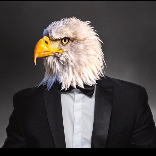 In-house lawyer. Dad to two young boys. Refugee of NYC and other blue bastions.