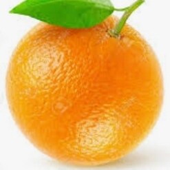 Robert Paine >>Constitutionalist. 1A. 2A. 10A. Jesus. Drag Racing.