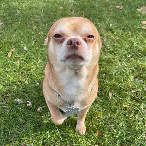 I stand with JK Rowling. Sex not gender. Stop this insanity.