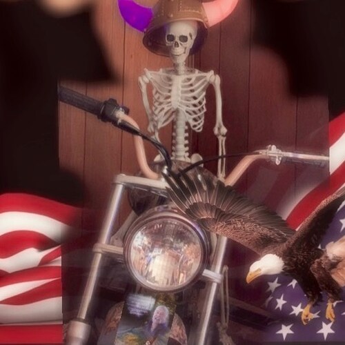 Retired School Bus driver 🚌  First President I voted for Ronald Reagan the last one I voted for President Donald Trump ...